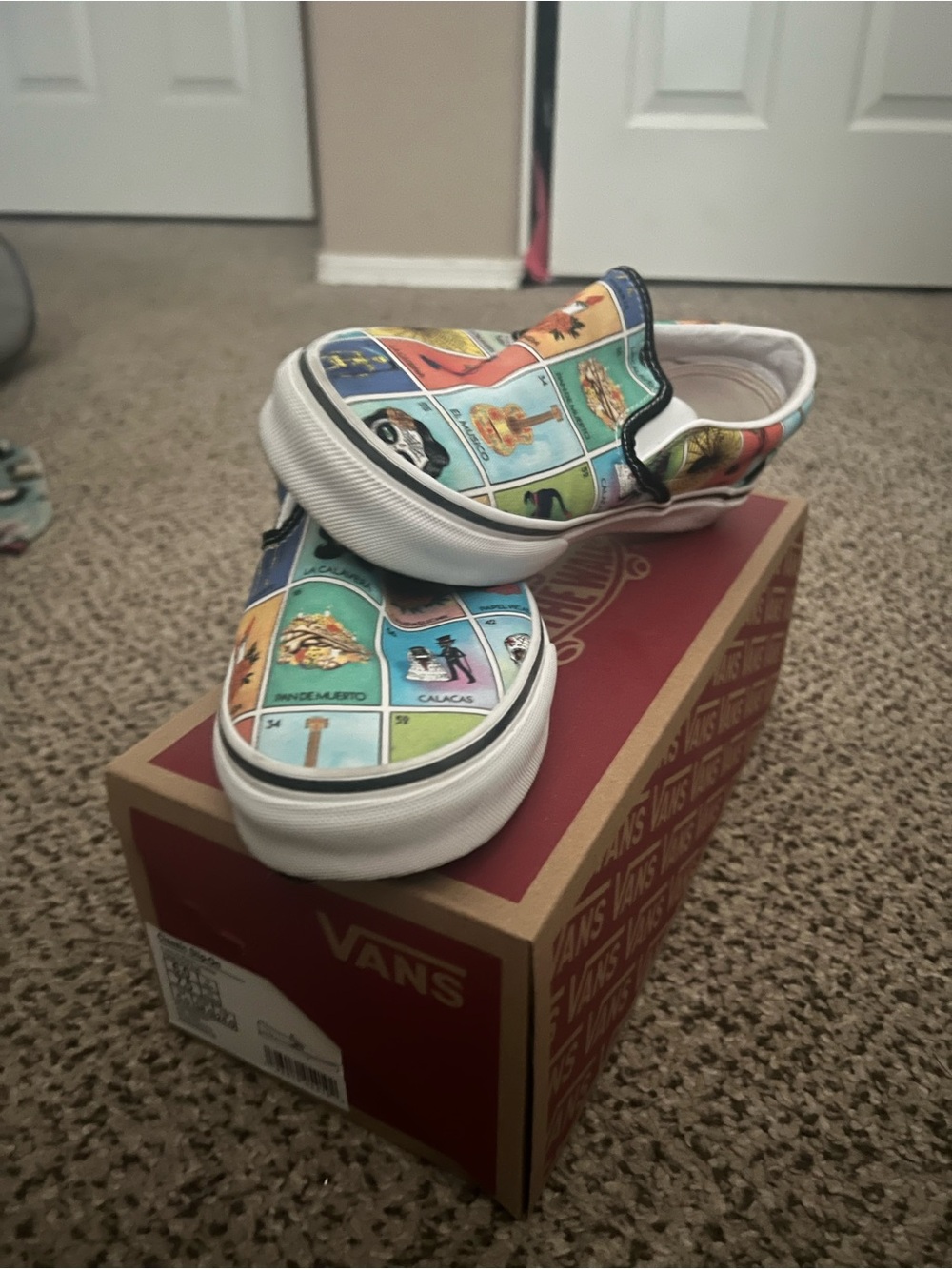 Vans Multicolor Slip-On Sneakers